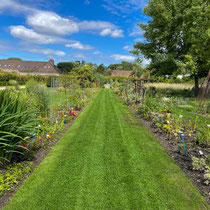 Collection de saisonnières de l'école Du Breuil