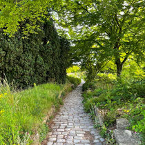 Chemin de la rocaille des jardins de l'école du Breuil