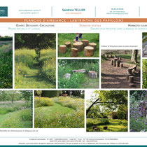 Planche d'ambiance "Labyrinthe des papillons"