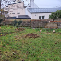 Plantation en cours par les clients - Photo client