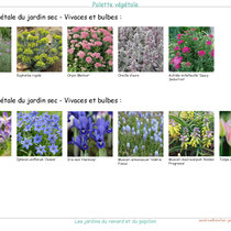 Palette végétale du Jardin sec