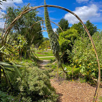 Collection de saisonnières de l'école Du Breuil