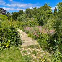 Zone de travaux pratiques de l'école Du Breuil