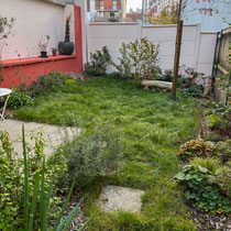 Octobre 2025 : le jardin a presque 1 an