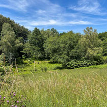 Val Maubrune - Une prairie accueillante