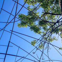 La cabane polypode est ses grimpantes pour ombrager l'espace repas