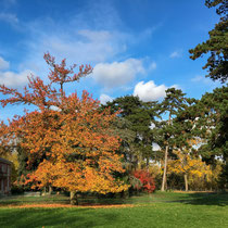 Abords du lac des Minimes au bois de Vincennes - Près des maisons rouges