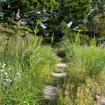Chemin de la rocaille des jardins de l'école du Breuil