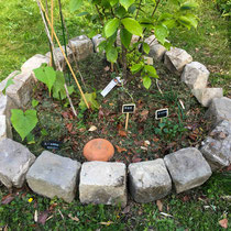 Ollas pour irriguer les petit coin d'aromatiques sous le kaki