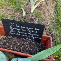 Zone de travaux pratiques de l'école Du Breuil