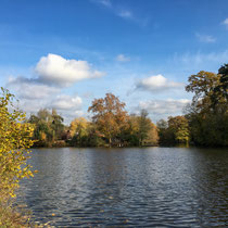 Lac des Minimes du bois de Vincennes