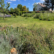Ollas pour irriguer un jardin dans les Yvelines