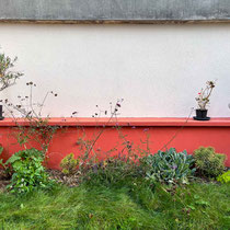 Octobre 2025 : le jardin a presque 1 an