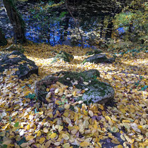 Lac des Minimes du bois de Vincennes