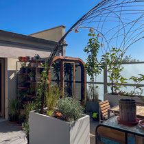 La cabane polypode est ses grimpantes pour ombrager l'espace repas