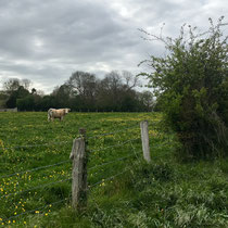 Intérêts agricoles