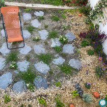 Juin 2022 - Jardin en fin de réalisation