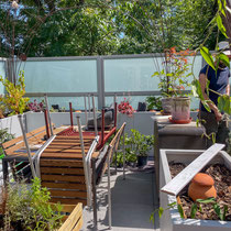 Mise en place des ollas et plantations