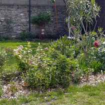 Le jardin 1 an après la plantation - Photo client