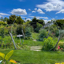 Collection de saisonnières de l'école Du Breuil
