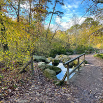 Ponts du lac des Minimes au bois de Vincennes