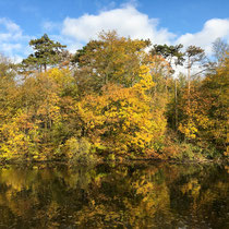 Reflets sur le lac des Minimes