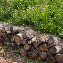 Log piles à la Nigel Dunnett