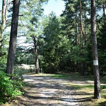 Weg naar Memorial Site Chelmno - de plek waar de mensen begraven en later verbrand werden