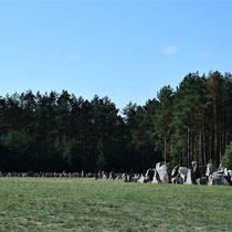 Overzicht memorial stenen