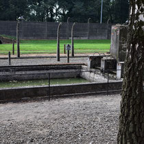 Zwembad Auschwitz