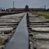 Spoorlijn Birkenau - met zicht op wachttoren 