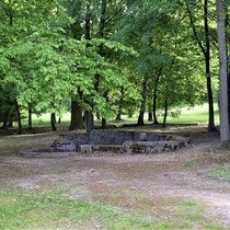 34) Restanten van de dierentuin 