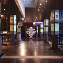 03. Overzicht tentoonstelling in het informatiecentrum