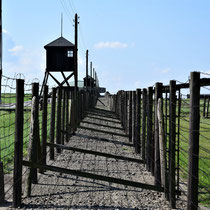 Afscheidingshekken Majdanek 4