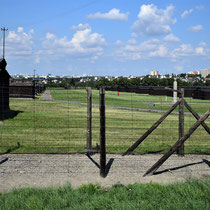 Barakken voor gevangenen Majdanek - incl. beeld adelaar/ duif