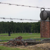 Watervat en fusilladeplaats (bij zwarte monument) Birkenau