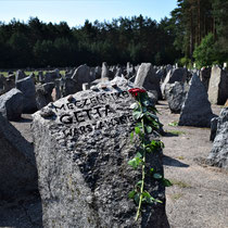 Overzicht memorial stenen - met roos 2