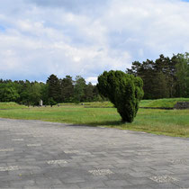 59) Zicht met de rug naar het Obelisk Monument naar de locatie van het vrouwenkamp 