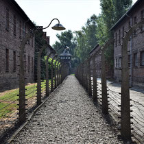 Afscheidingshekken Auschwitz