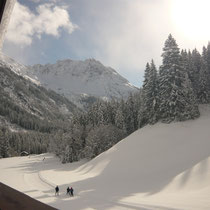 Ausblick von Wohnung IV ins Gemsteltal