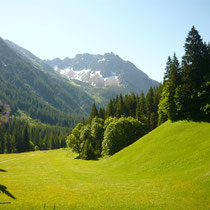 Ausblick von Wohnung IV ins Gemsteltal