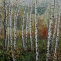 "Birkenwald" - Öl auf Leinwand 120 x 160 cm, 2007