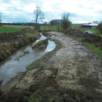Bachlauf Mäander eingebaut und aufgeweitet