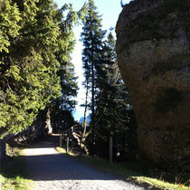 felsen-rigi-kulm