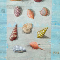 10 kleine Muscheln    - Acryl auf Leinwand  80x50   2018