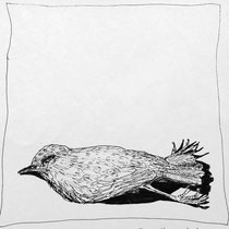 Toter Vogel 2018