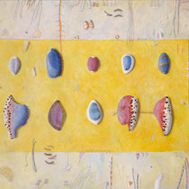 Cypraea seychellis No. 1     - Acryl auf Leinwand   60x80  2012