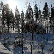 Jetzt nichts wie raus! Sonniger polarer Wintertag am Mökki. Schneebehaubte Bäume. Ein gefrorener See in der Sonne, der zu Nordic Skiing oder zu Spaziergängen einlädt. Langlaufski u. Schneeschuhe s. "All inclusive".  Sunny arctic winter´s day.