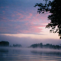 Im Spätsommer und Herbst " tanzen" die Wasserelfen auf dem ruhigen See.