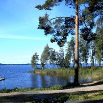 Kiefern statt Palmen! Ein Hauch von südlichem Flair im Sommer bei 30 Grad erleben. Badebucht der Anlieger mit Sandstrand und alter, holzbefeuerter Blockhaus-Sauna, ca. 300 m vom Haus entfernt.  Common sandbeach with woodfired sauna nearby.